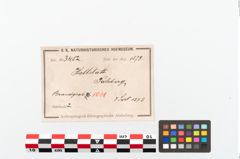 Etikett zu Bronzebrillenfibel (NHMW-PRAE-003452)